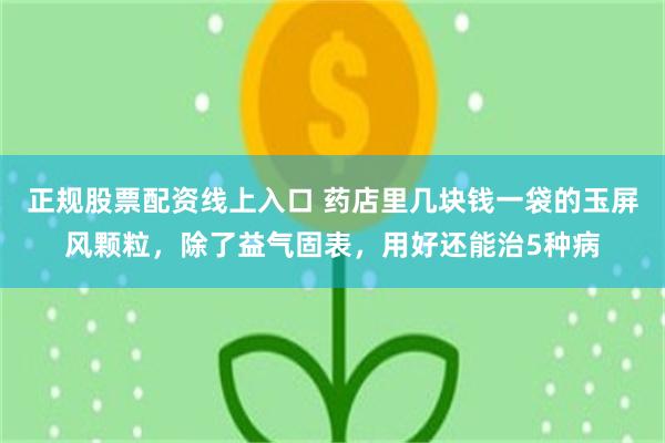 正规股票配资线上入口 药店里几块钱一袋的玉屏风颗粒，除了益气固表，用好还能治5种病