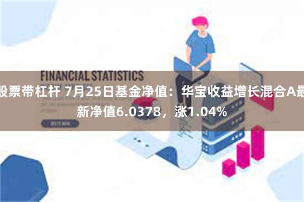 股票带杠杆 7月25日基金净值：华宝收益增长混合A最新净值6.0378，涨1.04%