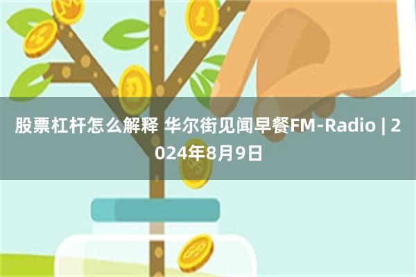 股票杠杆怎么解释 华尔街见闻早餐FM-Radio | 2024年8月9日