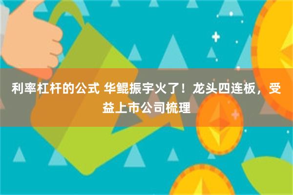 利率杠杆的公式 华鲲振宇火了！龙头四连板，受益上市公司梳理