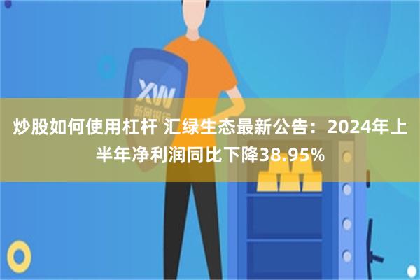 炒股如何使用杠杆 汇绿生态最新公告：2024年上半年净利润同比下降38.95%