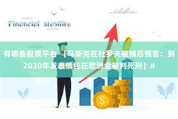 有哪些股票平台 【马斯克在杜罗夫被捕后预言：到2030年发表情包在欧洲会被判死刑】#