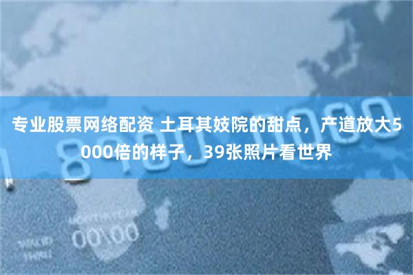 专业股票网络配资 土耳其妓院的甜点，产道放大5000倍的样子，39张照片看世界