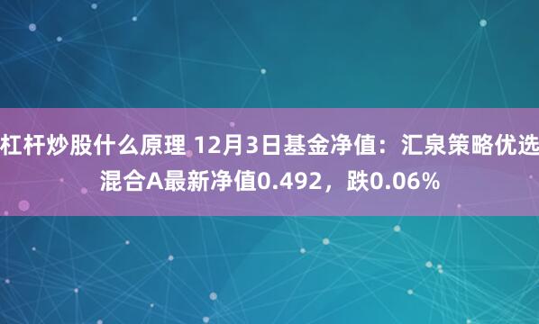 杠杆炒股什么原理 12月3日基金净值：汇泉策略优选混合A最新净值0.492，跌0.06%