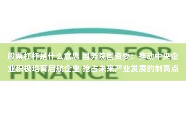 股票杠杆是什么意思 国务院国资委：推动中央企业积极培育启航企业 抢占未来产业发展的制高点