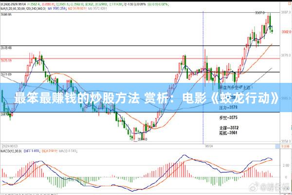 最笨最赚钱的炒股方法 赏析：电影《蛟龙行动》