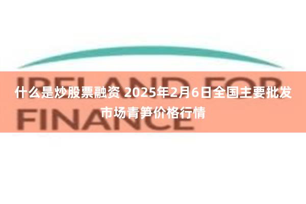 什么是炒股票融资 2025年2月6日全国主要批发市场青笋价格行情