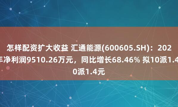 怎样配资扩大收益 汇通能源(600605.SH)：2024年净利润9510.26万元，同比增长68.46% 拟10派1.4元